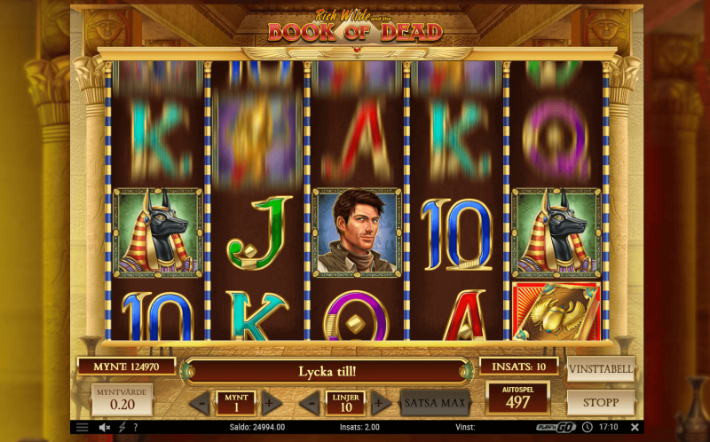 Book of Dead basspelet